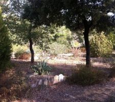 L'emplacement de la maison