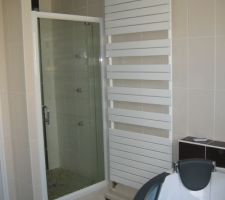 La douche à galets que les artisans ne voulaient pas faire à l'étage.... car peur des fuites on a du s'y mettre avec mes parents mais le carreleur a fait les galets