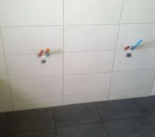 Faïence et sol salle de bain