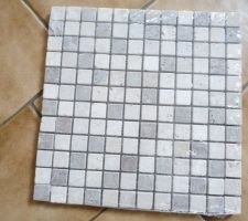 La mosa&iuml;que de la douche italienne du RDC