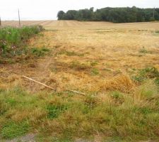 D&eacute;but du terrassement du chemin d'acc&egrave;s.(d&eacute;limitation)
