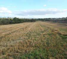 Terrain du futur lotissement qui abritera 21 parcelles.