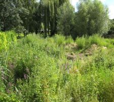 L'état du terrain avant les travaux de terrassement