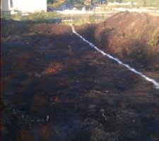 Mini pèle en action