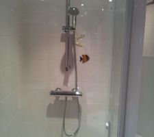Ma colonne de douche