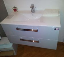 Le meuble et sa vasque que j'aimerais prendre