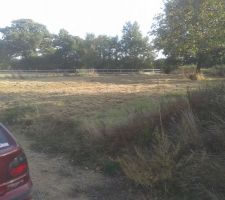 Terrain débroussaillé