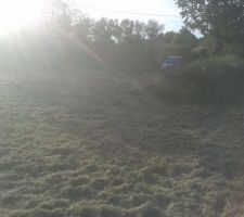 Terrain débroussaillé