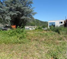 Notre terrain avec les arbres