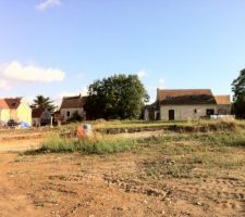 Et hop plus d'arbre et le terrain nettoyer