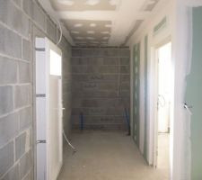 Le cellier se dessine