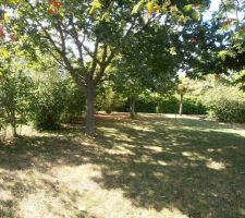 Avant que l'on commence a couper la v&eacute;g&eacute;tation (cot&eacute; futur jardin et entr&eacute;e)