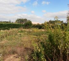 Avant que l'on commence a couper la v&eacute;g&eacute;tation (cot&eacute; chambre)