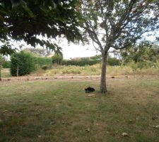 Apres avoir tomber les haies