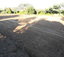 Terrassement et implantation