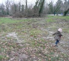 Oh la jolie petite for&ecirc;t