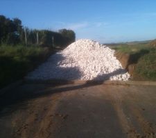 1h apr&egrave;s de boulot &agrave; la brouette!!
Mal au &eacute;paule