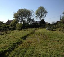 En cours de nettoyage