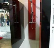 Paroi de douche command&eacute;e (photo prise au salin Au**de de janvier 2011 (LE MANS)