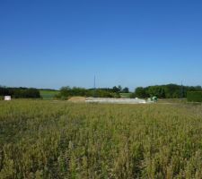 Les voisin on d&eacute;j&agrave; commenc&eacute; eux :)