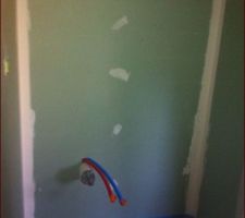 La salle de douche des amis
