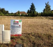 Le terrain est défriché