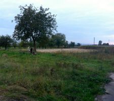 Le terrain nettoy&eacute;, un noyer en moins, un coup de d&eacute;frichage et voil&agrave; le travail !