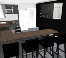 Projet cuisine ! la porte du fond donne sur le garage/cellier/buanderie. la porte sera noire