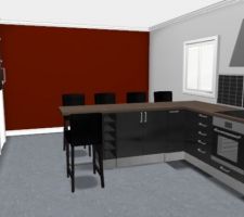 Encore une vue de la future cuisine ! au fond, ce ne sera pas un mur rouge, mais ça continuera sur le salon!