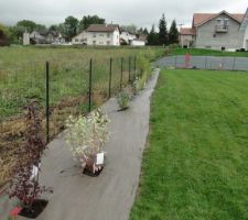 Haie libre composée pour 1/3 de persistants (laurier, fusain du japon, troène, photinia), 1/3 d'arbres (copalme d'amériaue, érable, pommier à fleur, cerisier à fleur, magnolia, sorbus, tuliper...) et 1/3 d'arbustes (érable japonais, hibiscus, kolkwitzia, corète, deutzia, aronia, berberis, lila des indes...) Vivement que ça pousse !