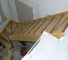 L escalier bois exotique