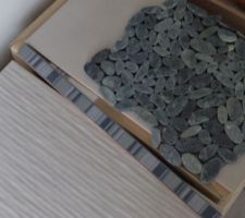 Faïence douche du RDC