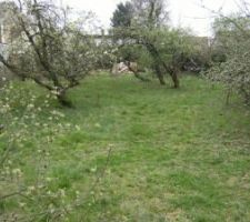 Voici le terrain, depuis il est nu, il faut que j'y passe pour prendre des photos