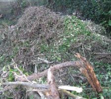 Tas mauvais herbe apr&egrave;s le coup brouilleur