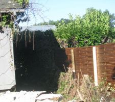 Pignon cote ouest nettoye