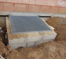 Grille cour anglaise