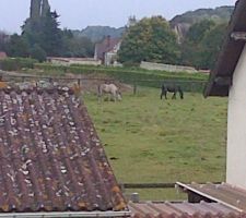 VUE DU BUREAU