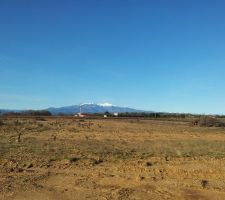 Vue du terrain avant aménagement