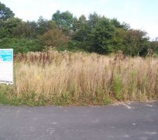 Terrain à l'état brut