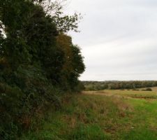 Y'a t-il vraiment besoin d'un &eacute;lagage ?!