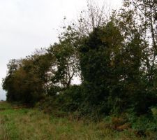 Le talus cot&eacute; ouest