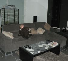 Y'en a une qui est heureuse !