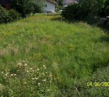 Vue du terrain pris du haut d'un talus. La limite du fond est 2 apres apr&egrave;s le bosquet sur la droite