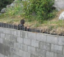 Ma seconde main d'oeuvre pas cher qui passe dans 30cm de large