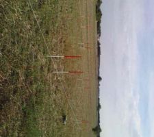Vu des 2 cours d'eau souterrain passant sous la maison.