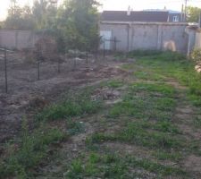 Photo prise à l'avant du terrain