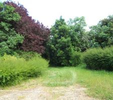 Allée vers le fond du terrain