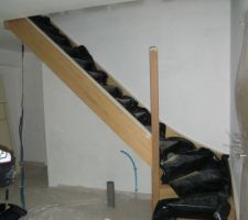 Démontage de la rampe d'escalier pour pouvoir sous coucher la cage d'escalier