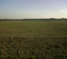 Vue plein sud depuis le terrain.