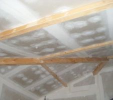 La salon et ses poutres apparentes &agrave; poncer...